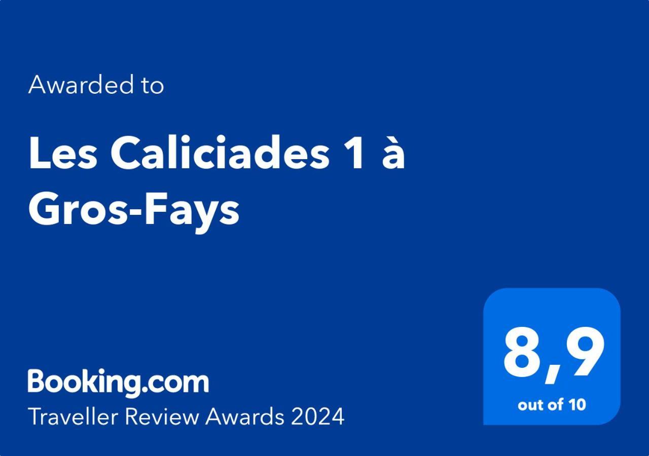 Les Caliciades 1 à Gros-fayt Appartement