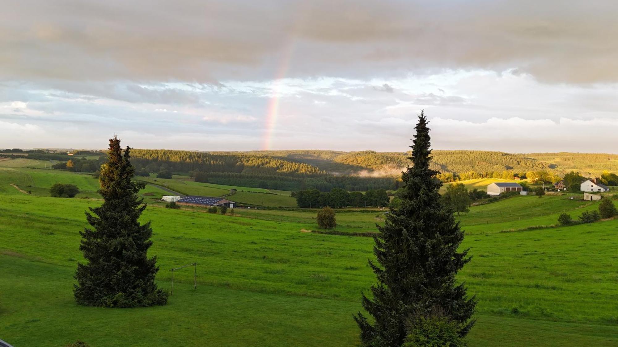 Appartement Les Caliciades 1 à Gros-fayt *